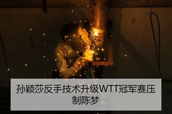 sun-ying-sha-fan-shou-ji-shu-sheng-ji-guan-jun-sai-ya-zhi-chen-meng-2-160.jpg